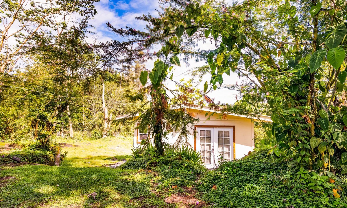 Kapoho Apartment | Dog-friendly studio escape near the beach & town with fast WiFi & kitchenette