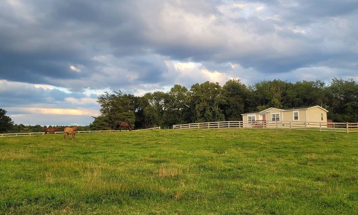 Grottoes House | Secluded cabin on a horse farm, bordered by the North River