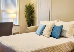 Executive Apt- Steps To The Beautiful Downtown Avondale, Parks, & More!