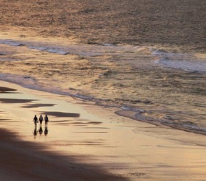 Beach Fishing 