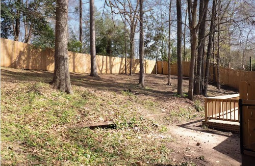 Fortson House | 3BR Colorful Haven - Cozy North Columbus Retreat!