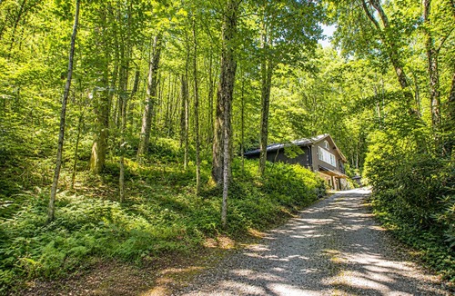 Highlands Cabin | 4 Min To Town, Screened Porch, Stunning Wooded Views, Dogs Ok,