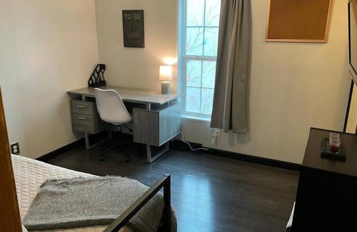 Chester Apartment | Auburn