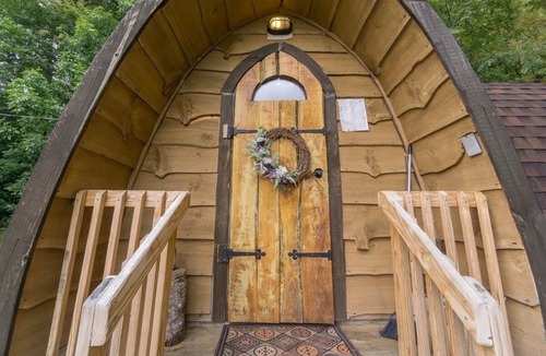Canton Cabin | Bear Minimum - Tiny Home with Cold Mountain Views