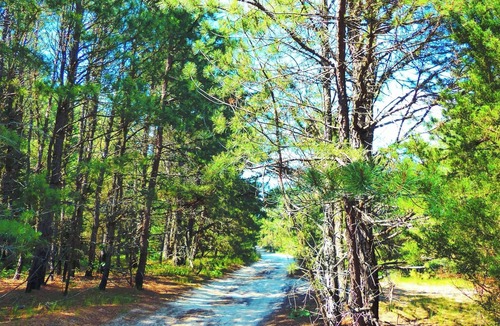Williamstown Apartment | Charming Tiny Home Retreat Near Fish and Wildlife Reserve