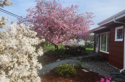 Mount Vernon Apartment | Cozy New Studio in charming Mount Vernon, Perfect for You and Your Pup