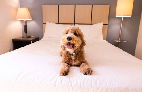 Earth City Hotel | Large Accommodation with Full Kitchen! Near Lambert St Louis Int'l Airport!
