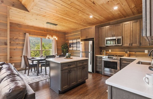 Wears Valley Cabin | Luxury cabin! Amazing Mountain Views! Hot Tub! Movie Room! Pet-friendly! Peloton