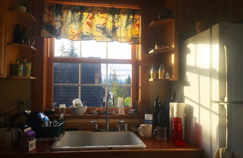 Homer Apartment | Ocean View Suite Homer Alaska Cafe/Bookshop/Beach