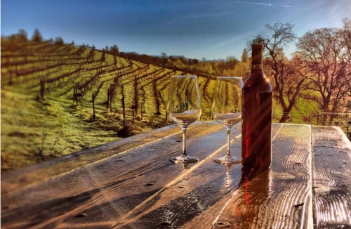 Mariposa House | Papillon Cellars
