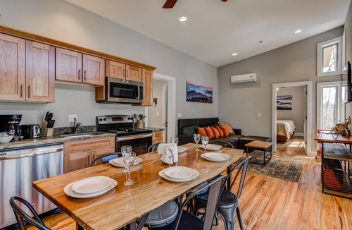 Pisgah Forest Cabin | PILOT COVE 2 BR Cabin - Modern Luxury w/Nature!