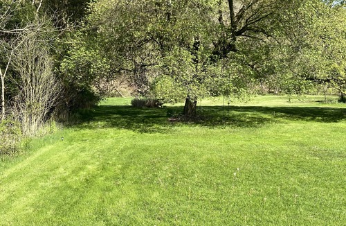 Tire Hill RV Rental | tf?! spotspace protective camp pet friendly, private, quiet, residential area
