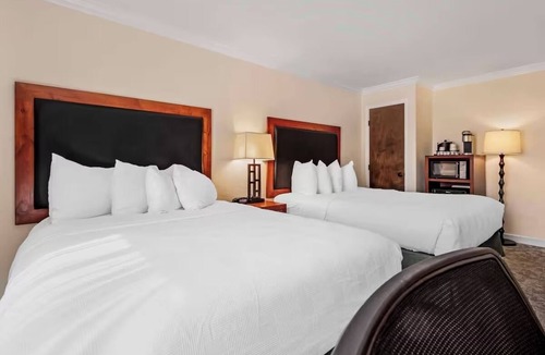 Eagle Hotel | Two Pet-Friendly Standard Rooms | 2 Queens + Free Breakfast & Indoor Pool Access