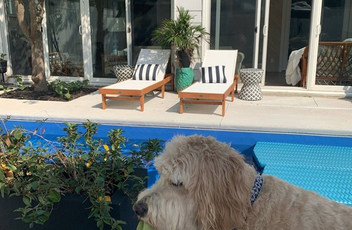 Dodds Addition House | Walking Distance to Ocean/Beaches, Heated/Saltwater pool-pool open 4/1-11/1