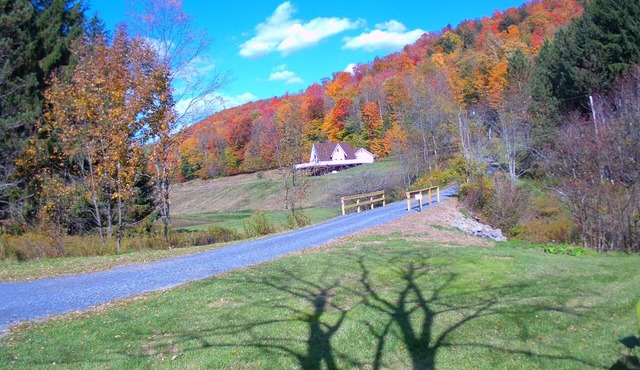 Charming A-frame retreat in a beautiful, natural, and private setting