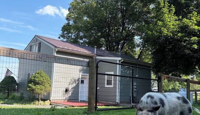 Cozy 1-bedroom apartment in Lincoln University
