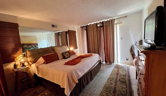 Cozy Boho Condo 2 Beds 1 Bathroom 15 min from Downtown, Riverwalk, Pearl