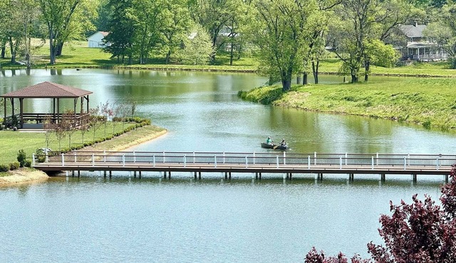 Cozy Lakefront 1 BR 1 Full Bath w/Private Island Access & Breakfast Included