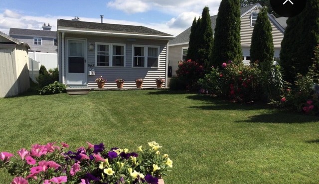 Ennis Cottage - A holiday by the sea!