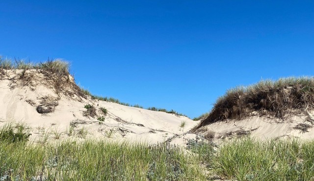 Experience Cape Cod History