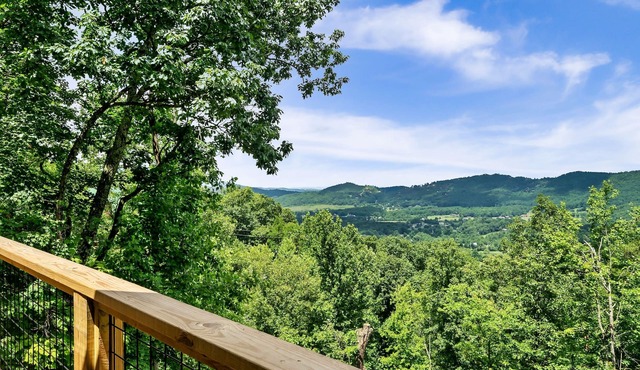 Great View, Private setting, Fire Pit, Game Room, Pool, Hot Tub, Gas Grill, Pets