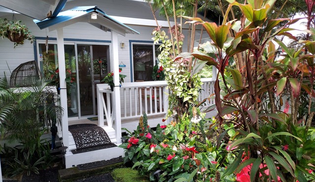 HAWAII Hilo Town~Private GATED Botanical GARDEN COTTAGE w Koi Pond