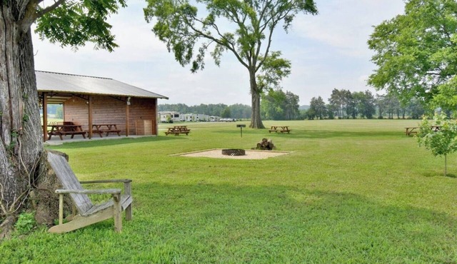 Lakeside Fire Pit Grill Games Picnic Space