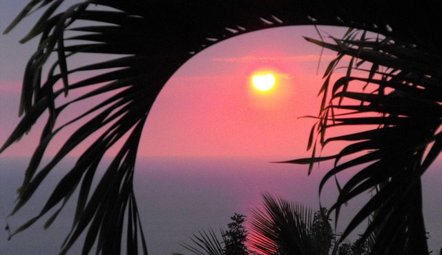 Luxury And Aloha Await You! Relaxation, Great Snorkeling, Large Unit