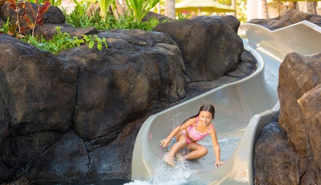 LUXURY BEACHFRONT HYATT KAANAPALI RESIDENCE CLUB RESORT+PREMIUM AMENITIES