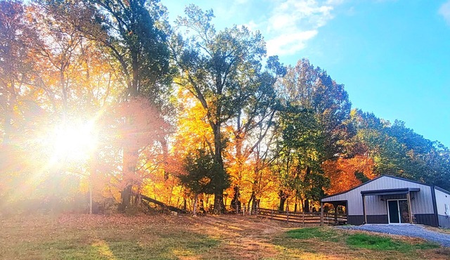 Meadow Wood Cottage Peaceful, Relaxing Luxury in the Country