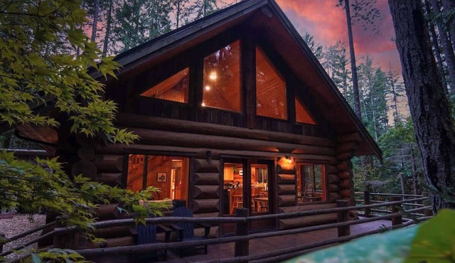 Mt Baker Log Cabin Wood Firepace Fast WiFi