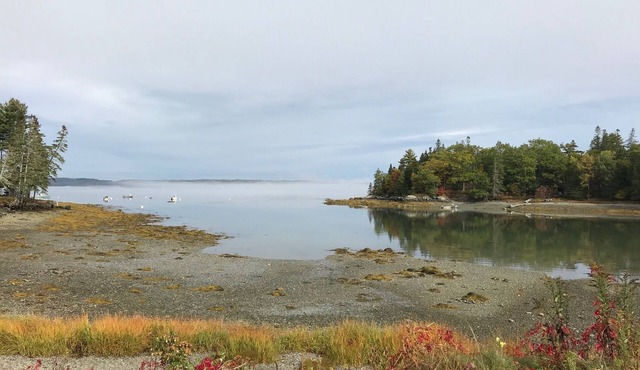 Oceanfront Cottage at Acadia National Park, Bar Harbor/Laughing Gull Cottage