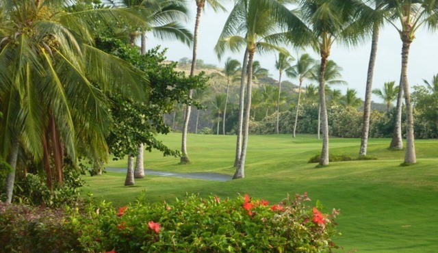 Quiet Condo on the Kona Country Club Golf Course