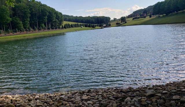 Romantic hideaway on the lake nestled in the pines 79 miles north of Pittsburgh.