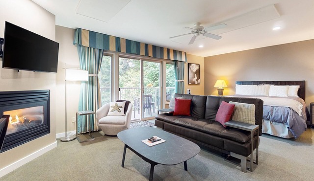 Three ocean/mountain view condos with balconies, near Moran State Park in Eastsound