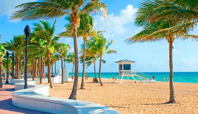 Tropical Oasis Condos