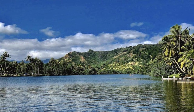 Wailua Riverside Cottage - TVNC #1293 AC Kayaks, Paddle Boards!
