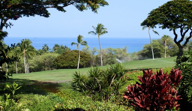 Wonderful Ocean View –Totally Renovated-On Golf Course