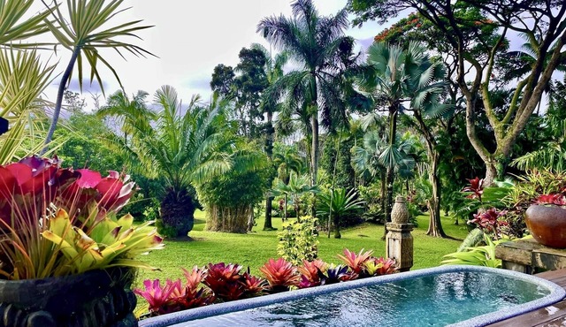 World Class Garden Residence