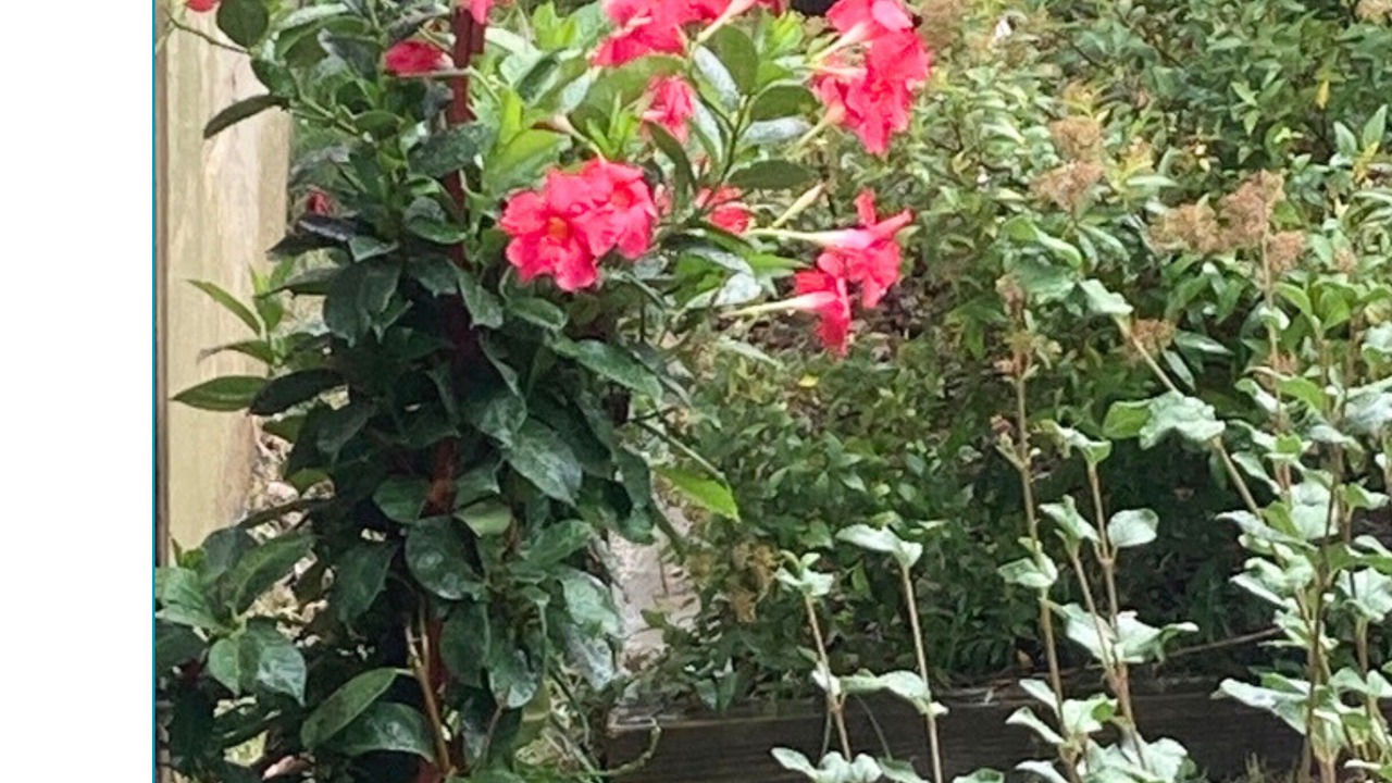 Photo of Outdoor in Murfreesboro