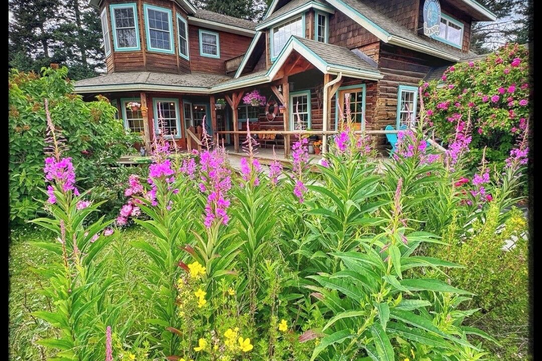 Photo of Outdoor in Homer