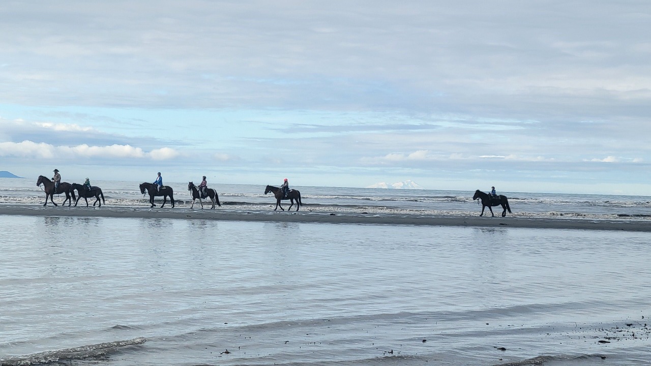 Photo of Others in Homer