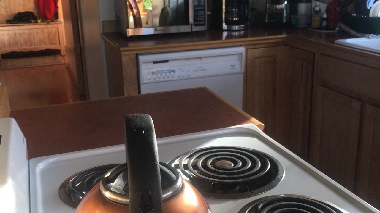 Photo of Kitchen in Homer