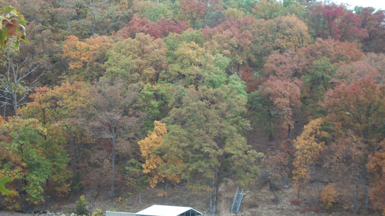 Photo of Others in Camdenton