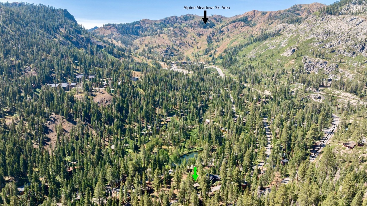 Photo of Others in Alpine Meadows