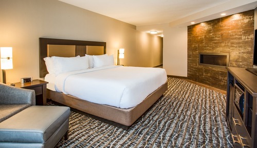 Standard Room, 1 King Bed (Walk-In Shower)