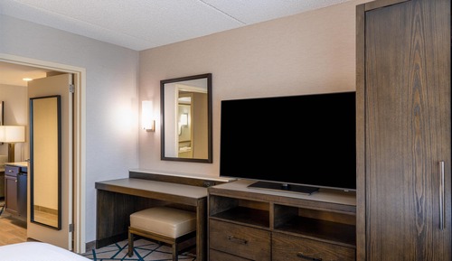 Suite, 1 King Bed with Sofa bed
